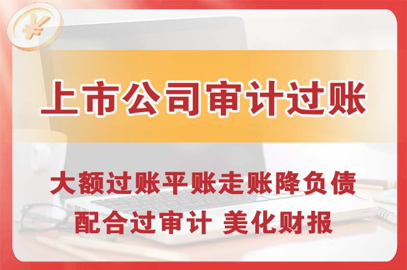 儋州上市公司审计过账